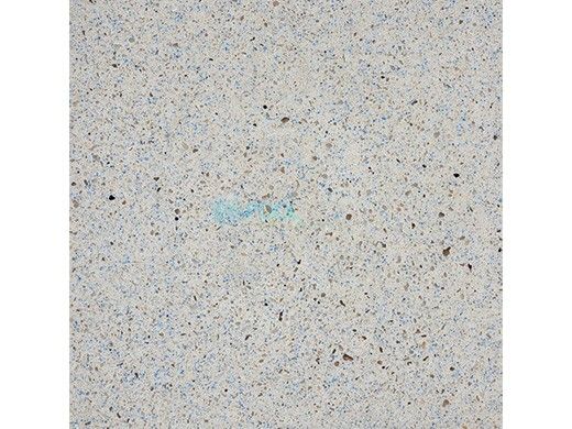 C.L. Industries SunStone Select Quartz Stain-Resistant Pool Finish | 80 Lb. | Sapphire | SSSSAPO