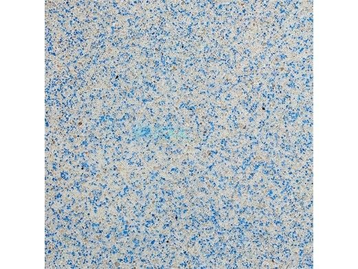 C.L. Industries SunStone Quartz Stain-Resistant Pool Finish | 80 Lb. | Super Blue | SSSUPBLO SSSUPBLUE