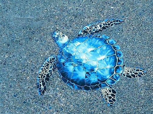 Porcelain Mosaic Sea Turtle Blue | 18