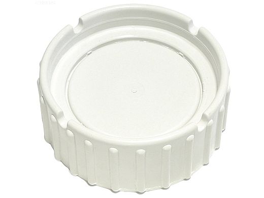 Zodiac Blanking Cap | W193821
