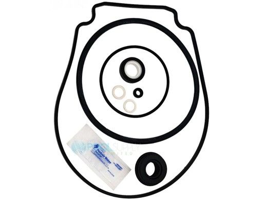 Pentair Seal Quick Kit for WhisperFlo / IntelliFlo Pumps | 356198