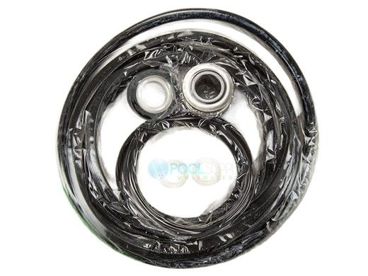 Pentair Chemical Salt Ozone Resistant Seal Set | 356199