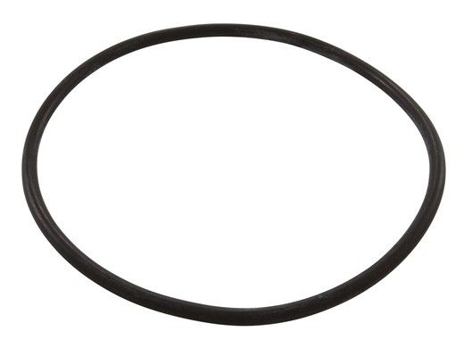 Speck Pumps Casing O-Ring for Pump Model 95 | 2902041220