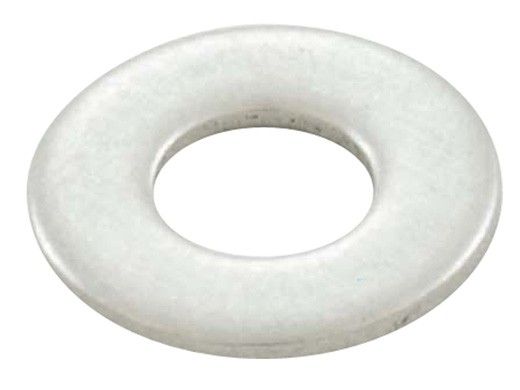 Speck Pumps 95 Series Flat Washer | 5/16" x 3/4" OD SS | 2991000011