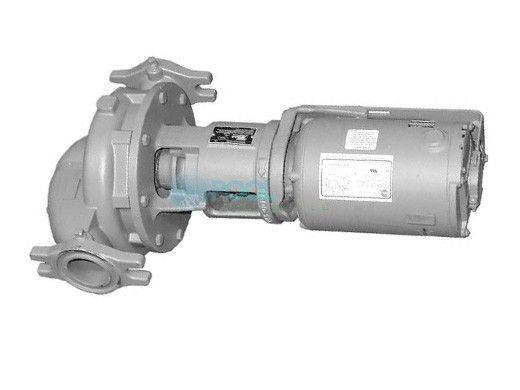 Raypak Pump And Motor Assembly | Fixed-Speed Pump | Stainless Steel | 120/240V 3/4 HP | 018785F