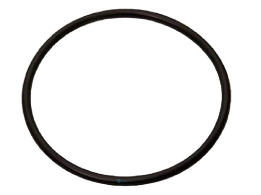 FX Luminaire Top Assembly O-Ring | 18 x 1 BN70 | 250010280001