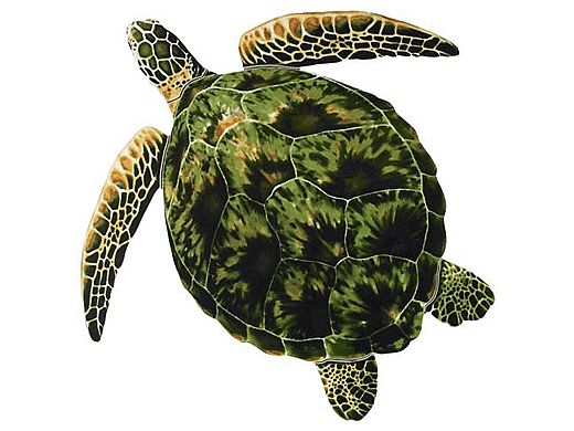 Porcelain Mosaic Sea Turtle Green | 24" x 24" | PORC-GT3-24