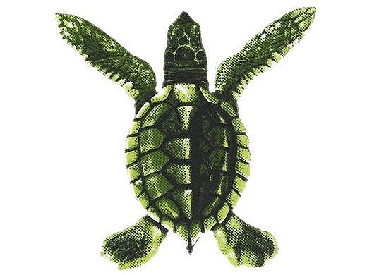 Porcelain Mosaic Turtle Green | Baby 5"x5" | PORC-ST20A
