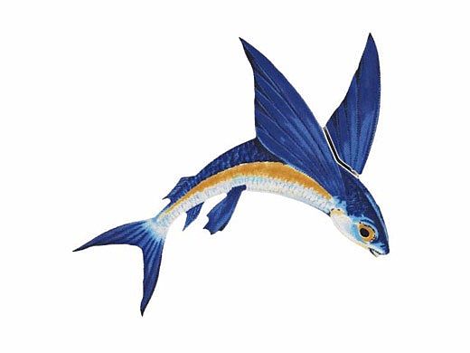 Porcelain Mosaic Flying Fish-A | 7" x 6" | PORC-FF13