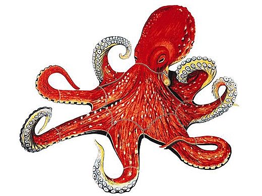 Porcelain Mosaic | Octopus | PORC-OP16-24