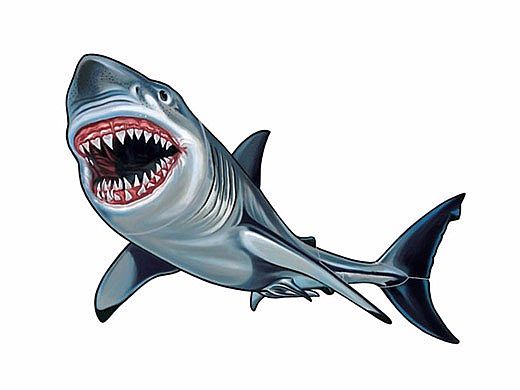 Porcelain Mosaic Shark | 32" x 18" | PORC-SK36