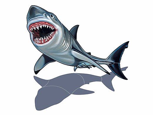 Porcelain Mosaic Shark with Shadow | 32" x 25" | PORC-SK36/SH