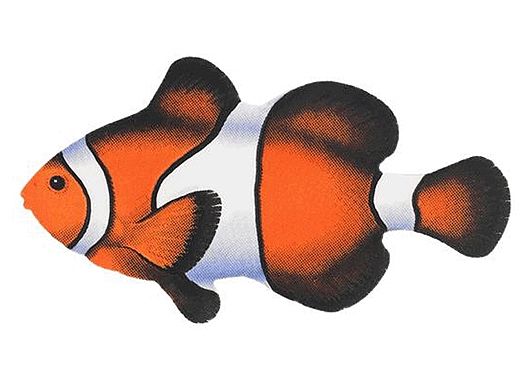 Porcelain Mosaic Reef Fish | Clown Fish | PORC-CF9-5