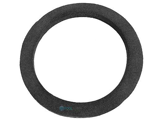 Pentair Bulkhead Gasket | 51021500