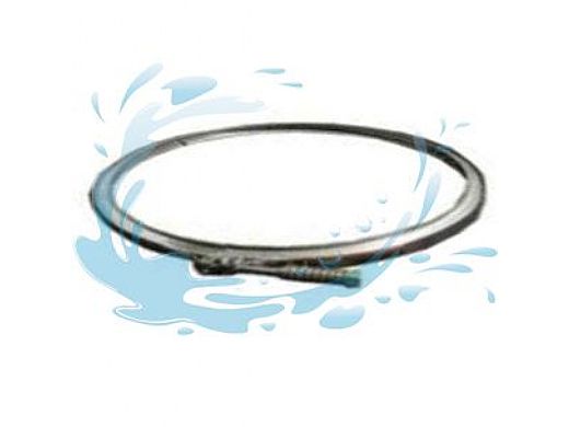 Pentair Clamp Assembly For Filters After 11/94 | 98219500
