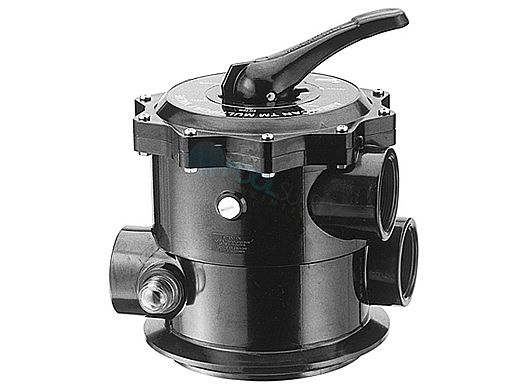 Pentair Multi-Port Valve Top Mount Sand | 2" Threaded 30" Filter | 50123100