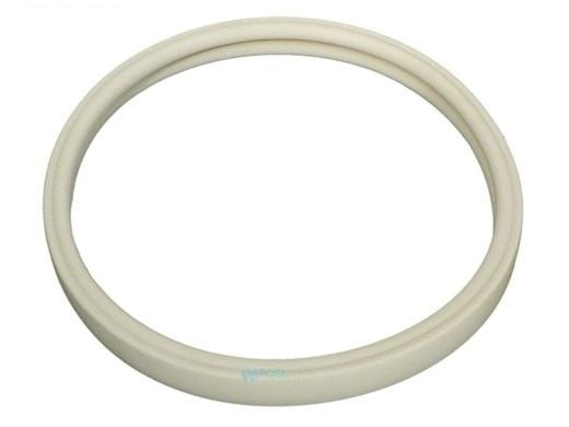 Pentair AmerLite AmerQuartz Pool Light OEM Gasket for 8-3/8" Lens | 79101600Z