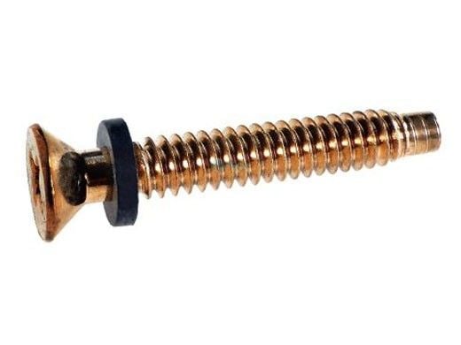 Pentair Brass Pilot Screw with Captive Gum Washer | 79104800 79104800Z
