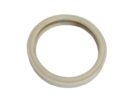 Pentair Gasket For 4" Diameter Lens | 79108500 79108500Z