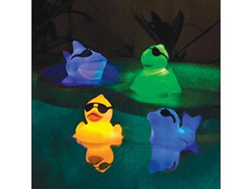 Light Up Floating Ducky Racers | 3576