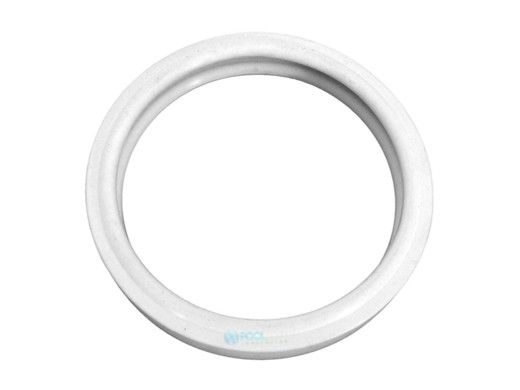 Pentair Silicone Gasket | 100W & 250W | 79108600