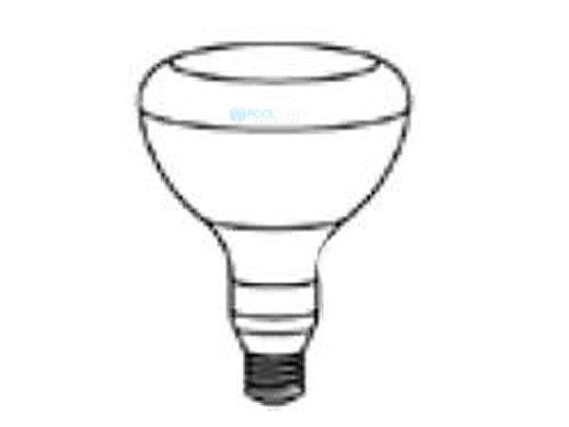 Pentair Flood Lamp Med Base | 300W 120V | 79107600