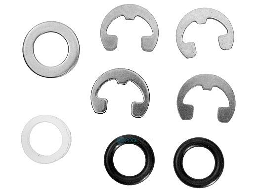 Hayward Piston Kit  RG450/RG700 | RGX45RA