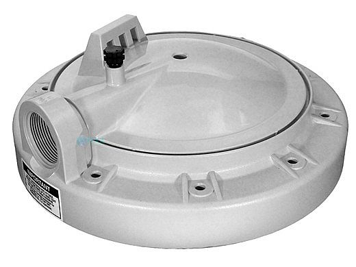 Hayward Filter Head with Vent Valve | ECX1131P