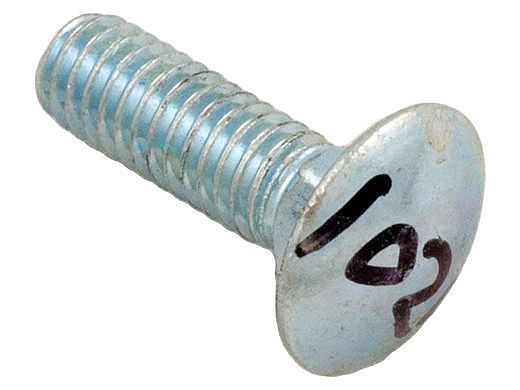 Hayward Carriage Bolt 5/16"x1" | GMX142Z8