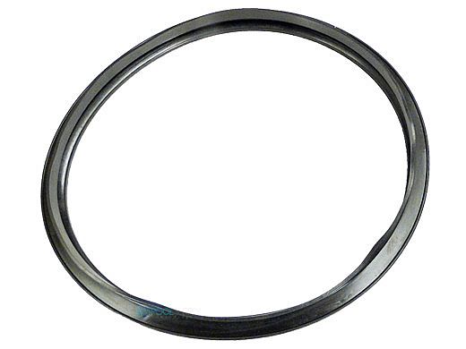 Hayward Filter Head Gasket | CX250F