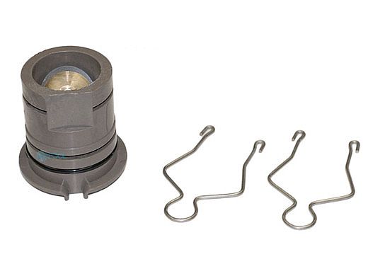 Hayward Inlet Fitting with Check Valve | ECX4201CA