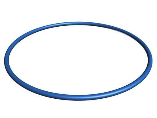 Hayward Valve O-Ring | GMX600F
