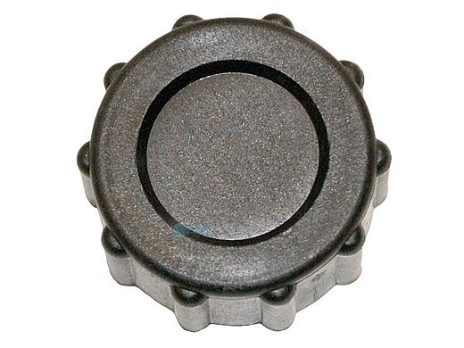 Hayward Drain Cap | SX200Z8