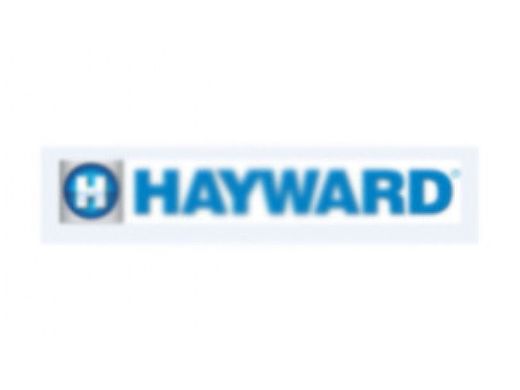 Hayward O-Ring | DEX360E