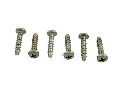 Hayward Cover Screw 6PK | SPX0704Z1A