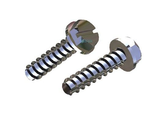 Hayward Mounting Foot Cap Screw | Set of 2 | SPX1600Z52