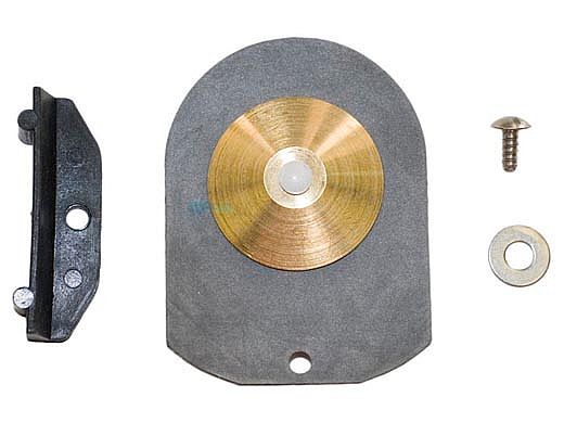 Hayward Check Valve Assembly | SPX1500RA