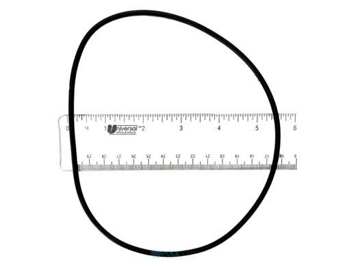 Hayward Housing O-Ring Gasket | SPX1705Z1