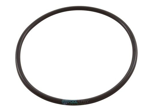 Hayward Strainer Cover O-Ring | SPX3000S