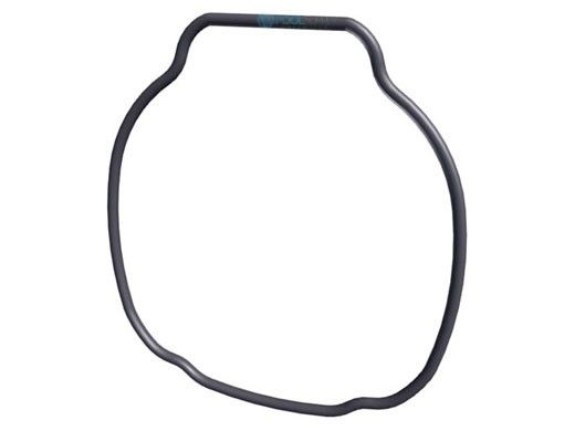 Hayward TriStar Housing O-Ring | SPX3200T