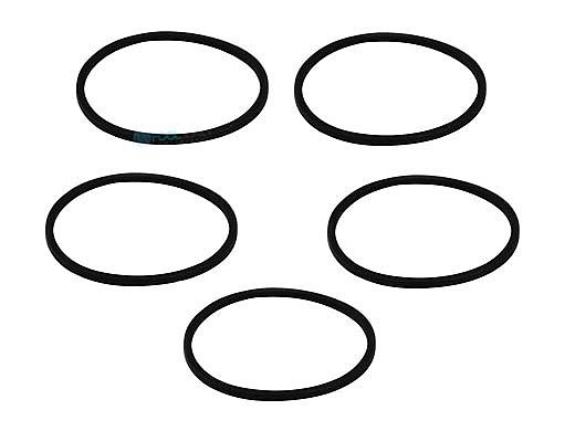 Pentair In-Floor formerly A&A Manufacturing Caretaker Small O-Ring | 5 Pack | 521261
