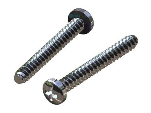 Hayward Diffuser Screw | Set of 2 | SPX3200Z8