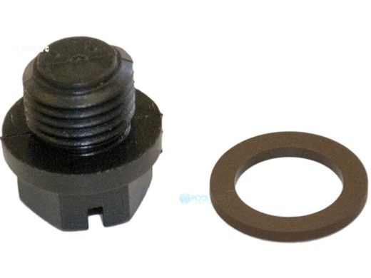 Hayward Pipe Plug with Gasket | SPX1700FGV