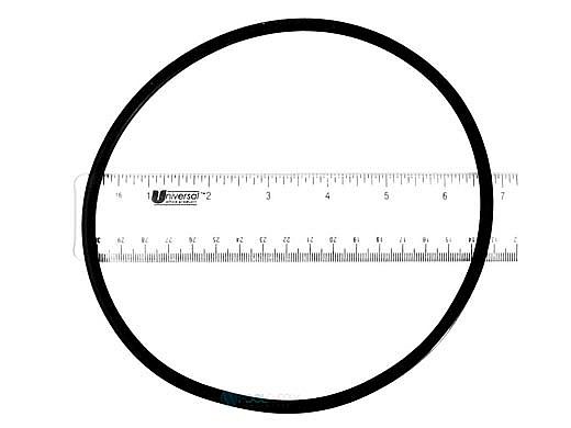 Hayward Strainer Cover O-Ring | SPX5500H