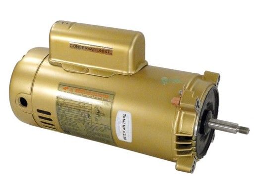 Hayward Motor Threaded Shaft | 2.5HP 230V | SPX1620Z1M