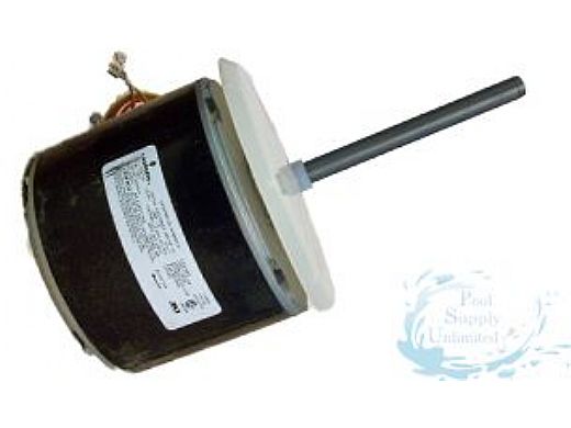 Hayward 1/3HP Motor | HPX11031134