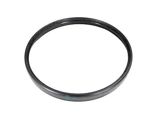 Hayward Aquabug Ring Kit | Black | AXV458