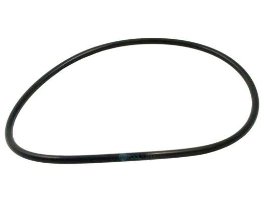 Hayward Float Valve Assembly O-Ring | SPX1070Z1