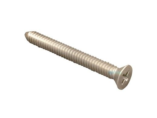 Hayward Face Rim Lockscrew with Fastener | SPX0580Z3