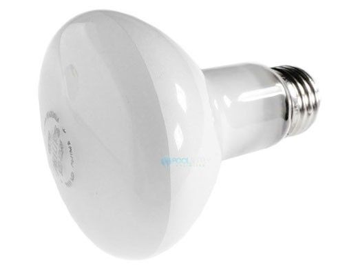 Hayward Incandescent Bulb | 100W 120V | SPX0551Z4